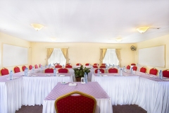 conferencing