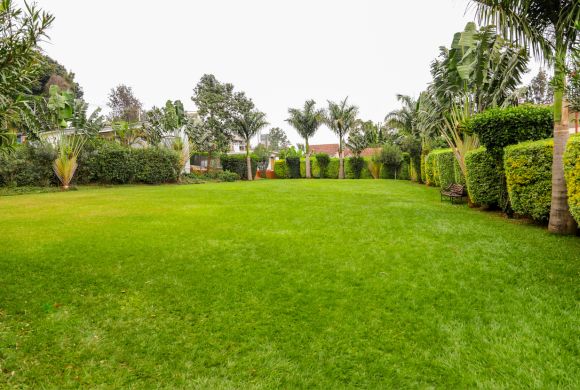 methosist resort garden